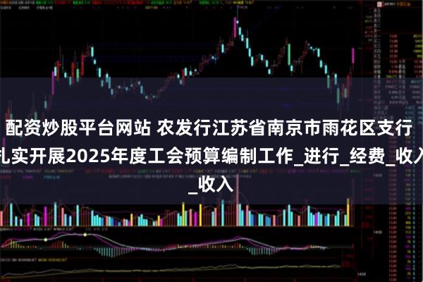 配资炒股平台网站 农发行江苏省南京市雨花区支行 扎实开展2025年度工会预算编制工作_进行_经费_收入